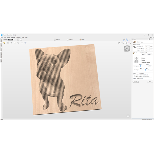 VCarve PhotoVCarving Toolpath Strategy